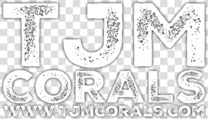 Tjm Corals   Motif  HD Png Download