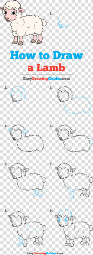 How To Draw Lamb   Draw Kylo Ren Easy  HD Png Download