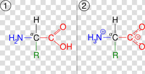 Thc Molecule Lewis Dot Structure   Thc Lewis Dot Structure  HD Png Download