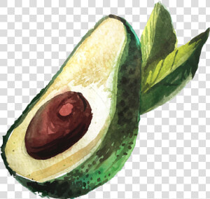 Aguacate Png Dibujo   Png Download   Avocado Drawing  Transparent Png