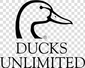 Ducks Unlimited Logo Svg  HD Png Download