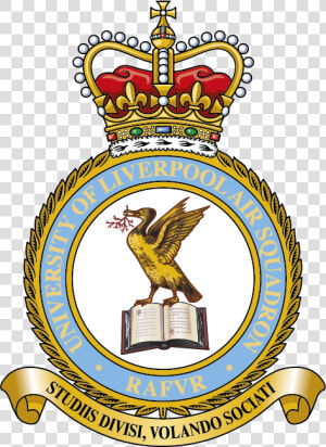 Crest For Liverpool University Air Squadron   51 Squadron Raf Regiment  HD Png Download