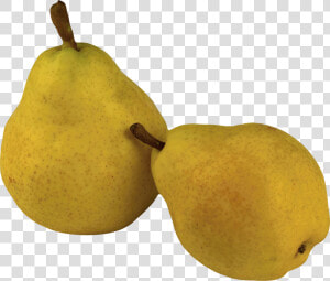 Ripe Pear Png Image   Png Of Pear  Transparent Png