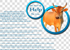 Working Animal   Png Download   Working Animal  Transparent Png