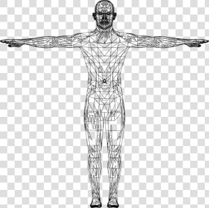 Man  Wireframe  Low Poly  Polygons  Triangles  Male   Human Figure Human Body Icon  HD Png Download