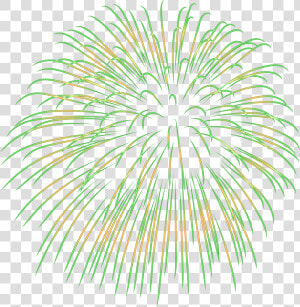 Transparent Fireworks Clipart Black And White   Green Fireworks Clipart Transparent Background  HD Png Download