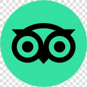 Tripadvisor Logo 2020  HD Png Download