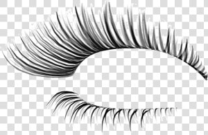 Eyelashes Transparent Transparent Background  HD Png Download