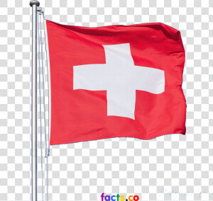 Meaning Of Png Flag   Swiss Flag White Background  Transparent Png