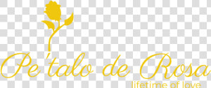 Pe Talo De Rosa logo   Chicas  HD Png Download