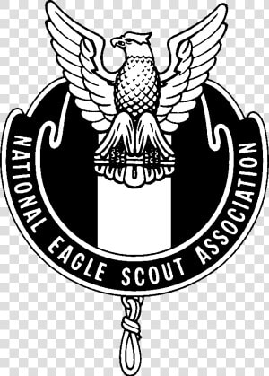 Eagle Scout Images In The Bsa National Assoc Directory   National Eagle Scout Association  HD Png Download