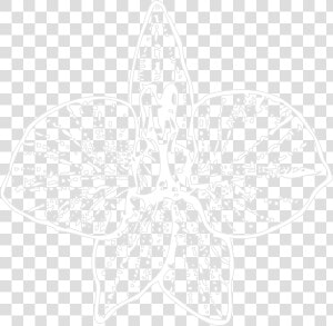 White Orchid Outline Svg Clip Arts   Orchid  HD Png Download