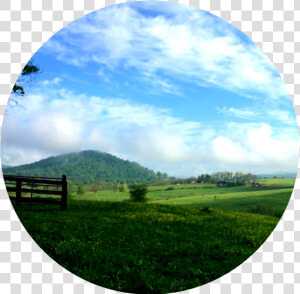 Grassland Png  Transparent Png