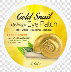 Esfolio Gold Snail Hydrogel Eye Patch 60pcs 60pcs    HD Png Download