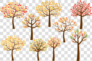 Transparent Deciduous Tree Png   Autumn Tree Clipart  Png Download