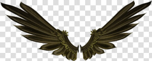 Asas Wings Black Negras Freetoedit   Transparent Background Raven Png  Png Download