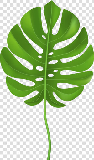 Tropical Palm Leaf Transparent Png Clip Art Image     Clip Art Palm Leaf  Png Download