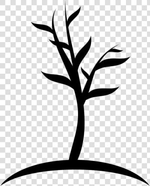 Young Tree   Young Tree Icon  HD Png Download