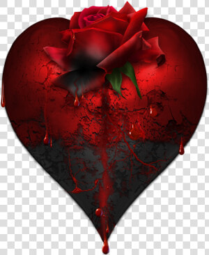 Bleeding Heart Png  Transparent Png