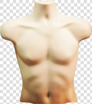 Transparent Torso Png   Pound Of Flesh Torso  Png Download