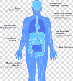 Impacts Of Diabetes On Health  HD Png Download