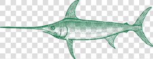 Transparent Marlin Fish Png   Swordfish  Png Download