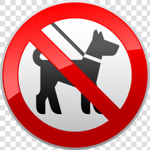 No Dogs Sign Prohibition Png Clipart   No Parking Sign Transparent Background  Png Download