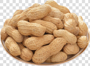 Peanut Png   Transparent Background Peanuts Png  Png Download