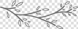 White Branch Png   Black And White Branch Clipart  Transparent Png