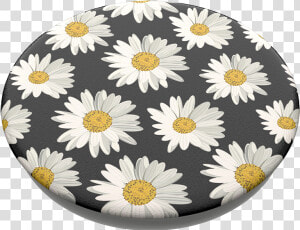 Daisies  Popsockets Daisies   Popsockets  HD Png Download