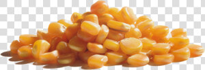 Wabash Valley Farms Popcorn   Corn Kernels  HD Png Download