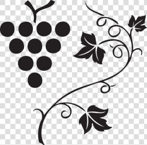 562 Grapes  amp  Vine Clipart Images  Vector Clipart  Multiple   Grape Vine Vector Png  Transparent Png