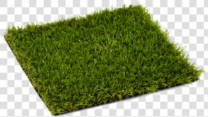 London Artificial Grass   Synthetic Grass Png  Transparent Png