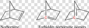 Norbornene Isomers Bredt Rule   Bredt  39 s Rule  HD Png Download