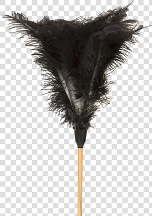 Feather Dusters South Africa  HD Png Download