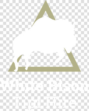 White Bison Tipi Hire Reading Berkshire   Berlin  HD Png Download