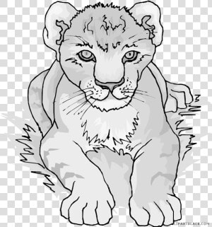 Clipartblack Com Animal Free Black White Images   Lion Cub Clipart Black And White  HD Png Download