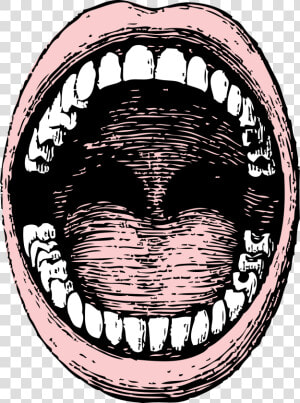 Open Big Image Png   Big Open Mouth Drawing  Transparent Png