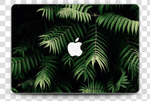 Tropics Skin Macbook Pro Retina 13”   Vinilo De Plantas Png  Transparent Png