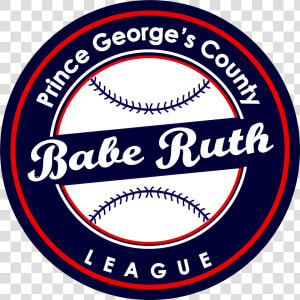 Transparent Babe Ruth Png   Newton County Theme School Logo  Png Download