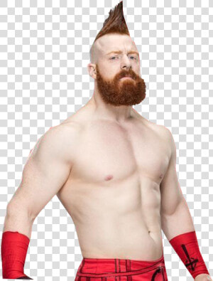 Sheamus 2018 Sheamus Wwe Champion Png Transparent Png   Sheamus Png 2018  Png Download