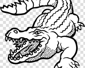 Alligator Clipart Images Black And White Free Download   Clipart Wild Animals Black And White  HD Png Download