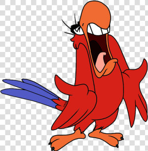 Iago Aladdin Transparent Images   Iago Aladdin Png  Png Download