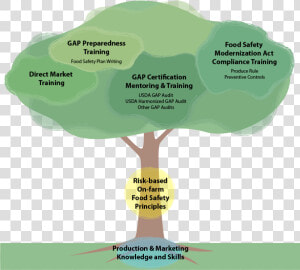 Competencies   Map  HD Png Download