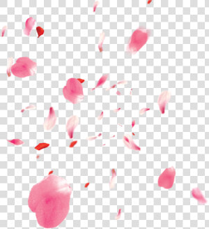 Freetoedit Ftestickers Flower Flowers Pink Rose Petals   Pink Rose Petals Png  Transparent Png