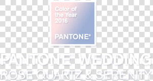 Pantone Png  Transparent Png