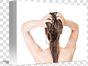 Young Fit Woman In Shower Washing Her Body By B D S   Woman Shower Png  Transparent Png