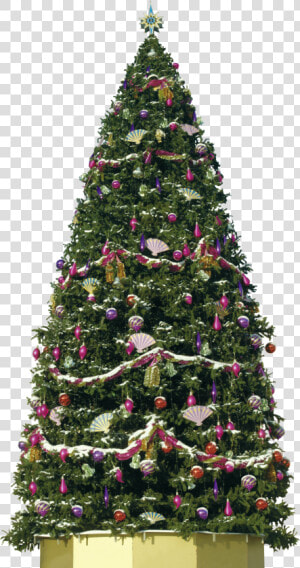 Big Decorative Christmas Tree Png Image   Big Christmas Tree Png  Transparent Png