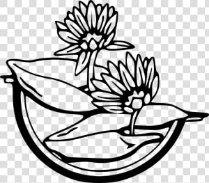 Water Black And White Free Vector Graphic Flowers Black   Clip Art Free Water Lily  HD Png Download