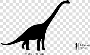 Brachiosaurus Next To Human  HD Png Download